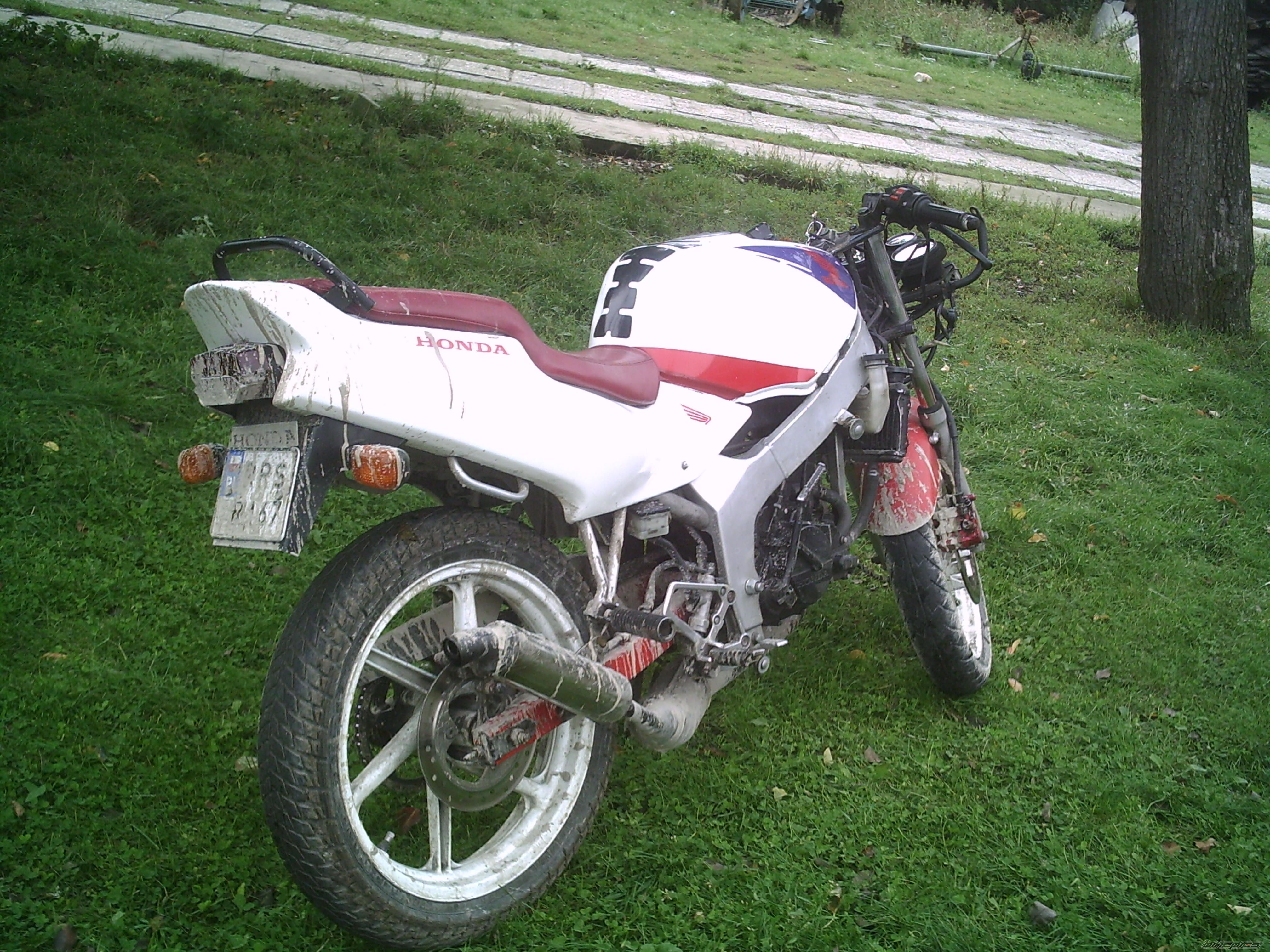 Photo 1019414