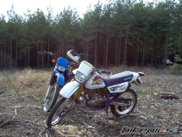 Photo 1019462