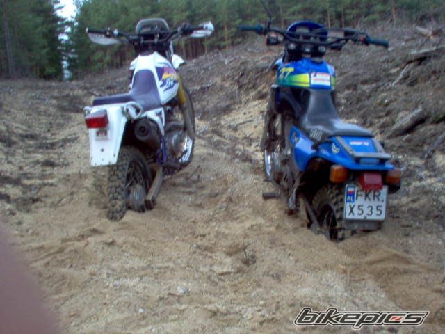Photo 1019468