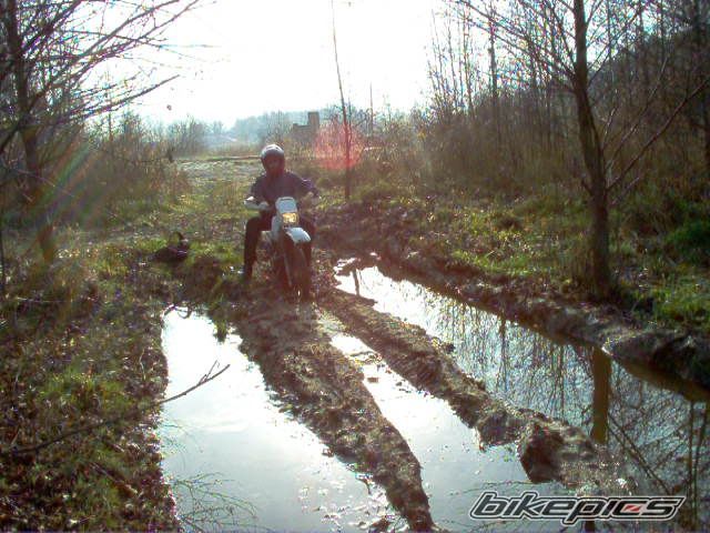 Photo 1019471