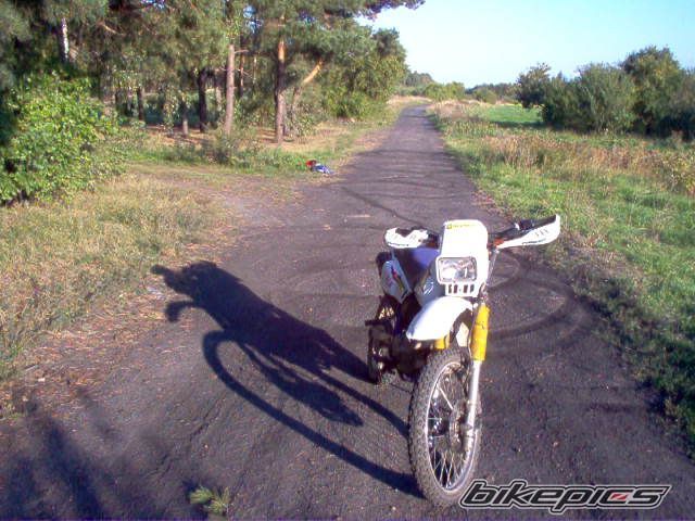 Photo 1019474