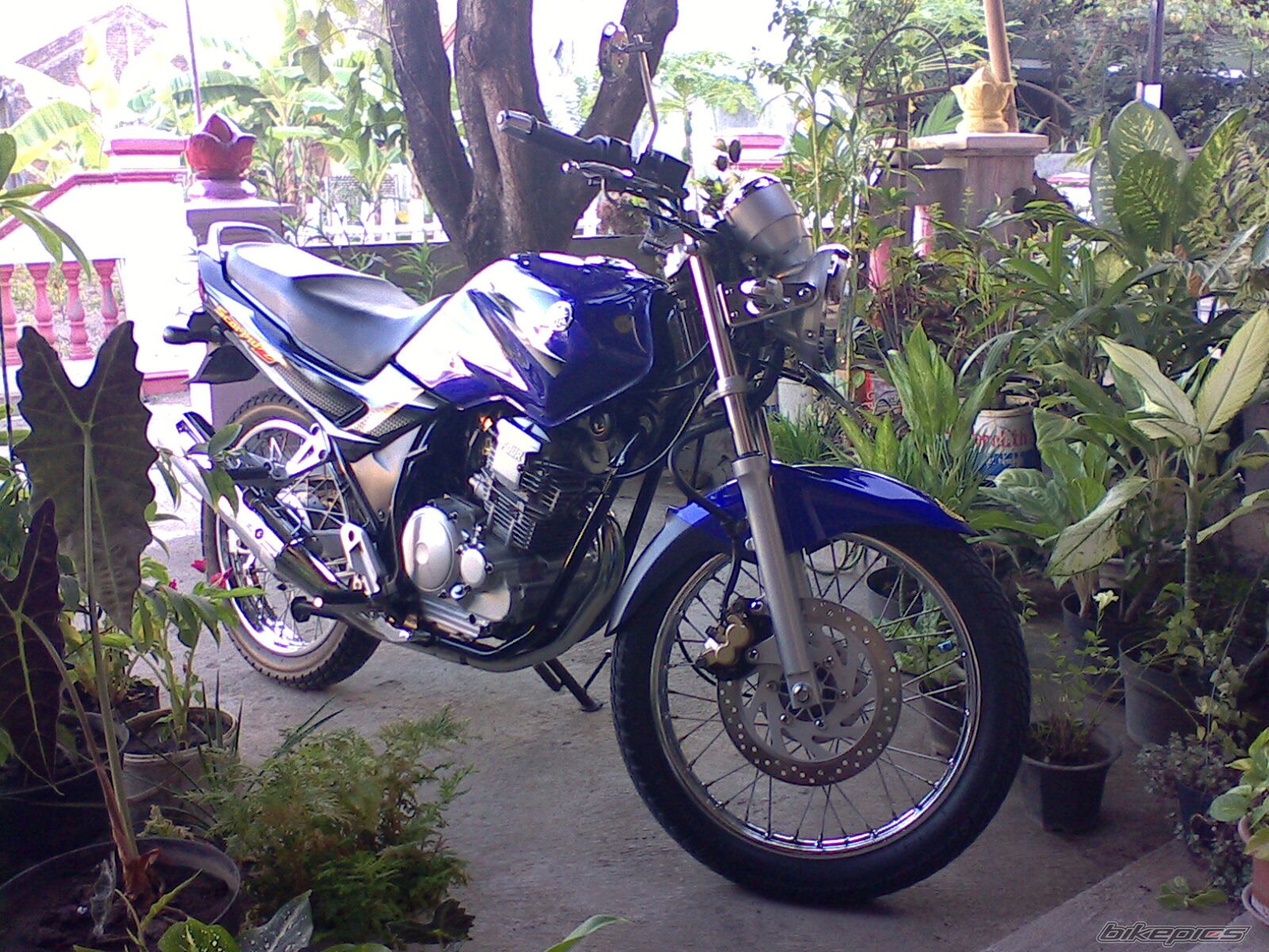Bike Photo 1019486