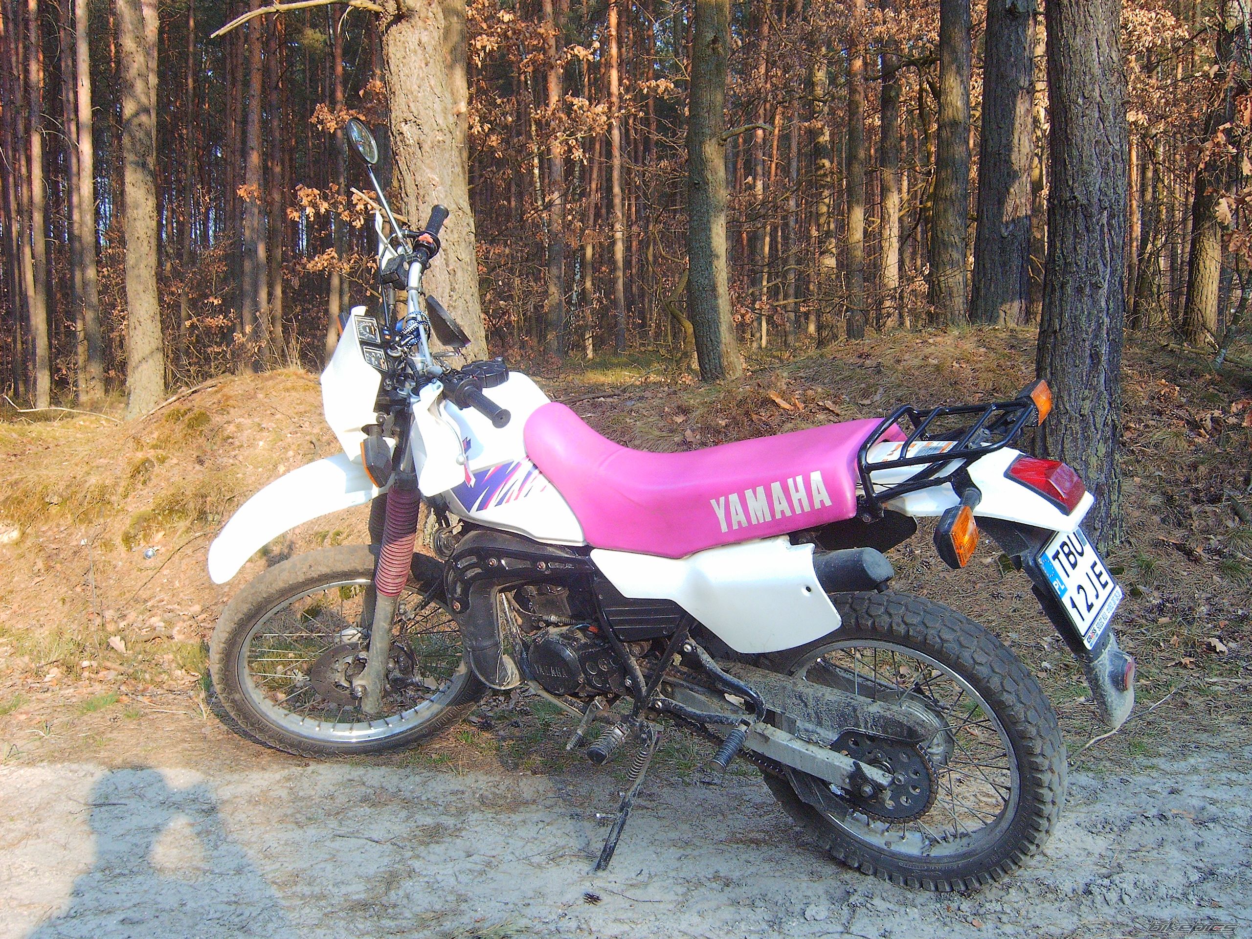 Bike Photo 1019535