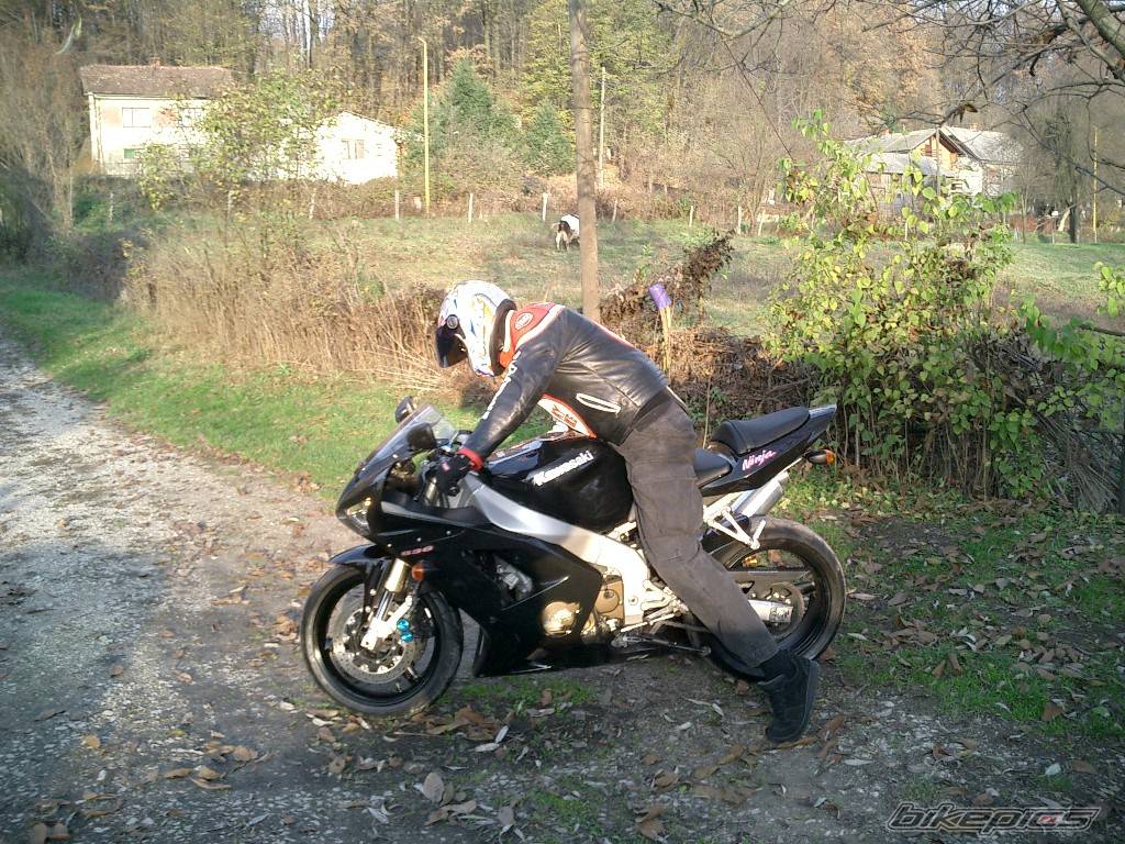 Photo 101955