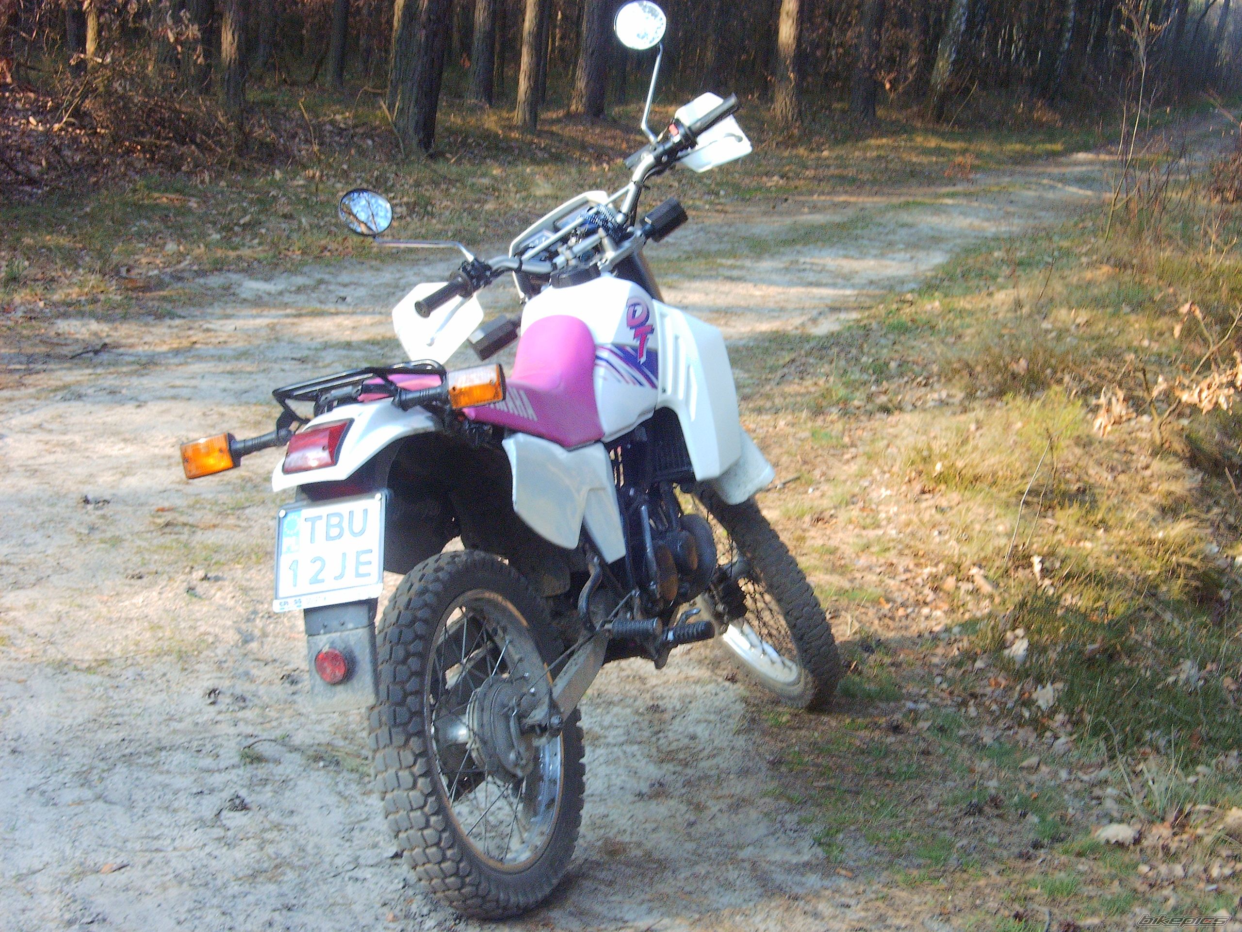 Photo 1019632