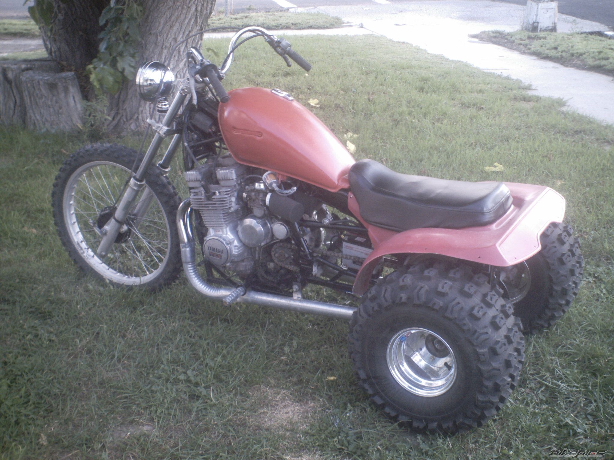 Photo 1019736