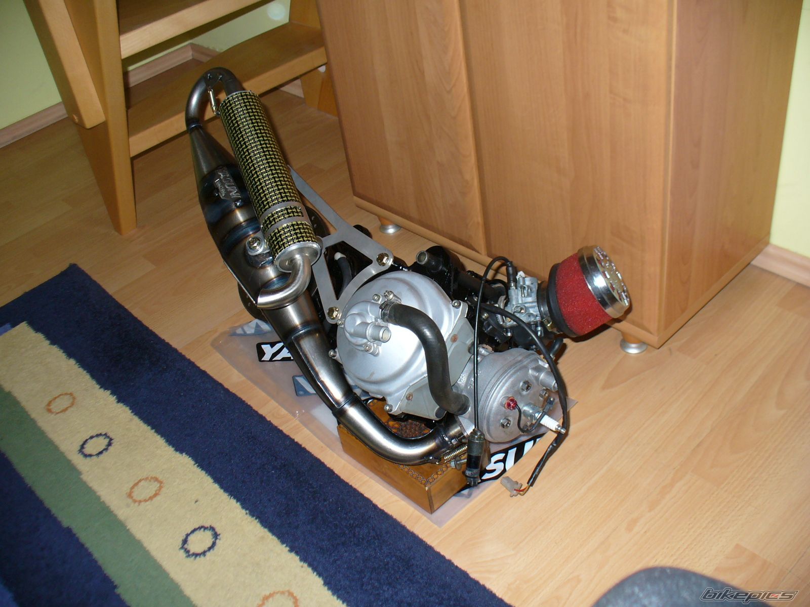 Photo 1019794