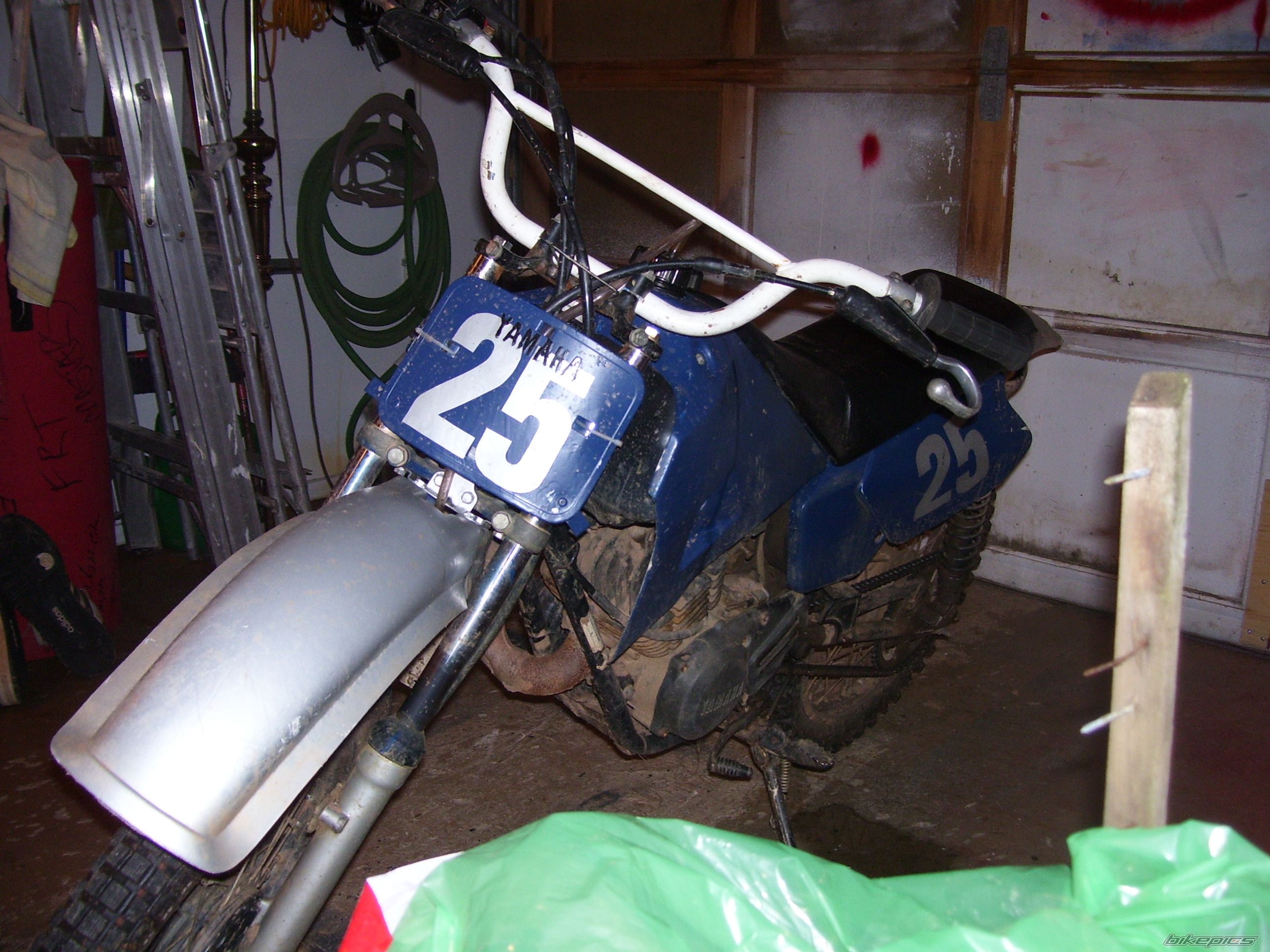 Photo 1019830