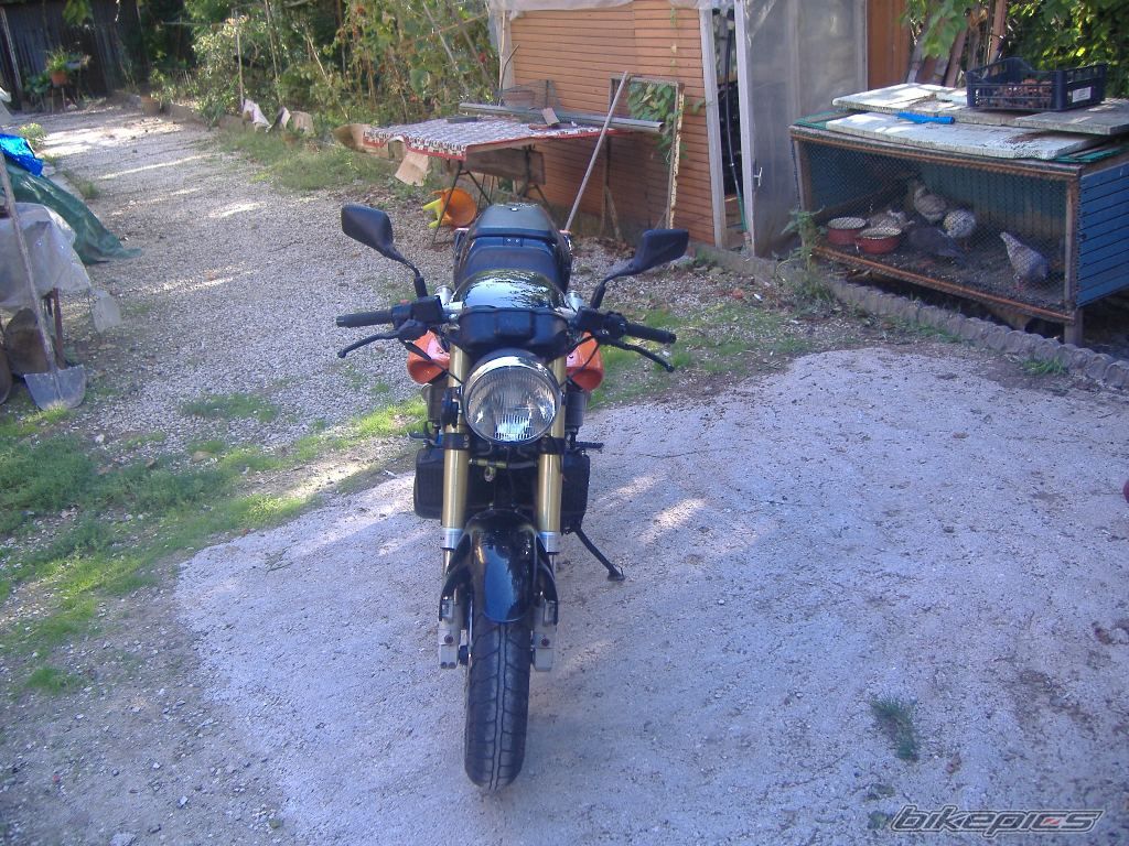 Photo 1019832
