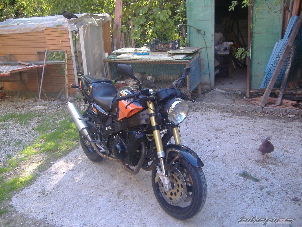 Photo 1019841