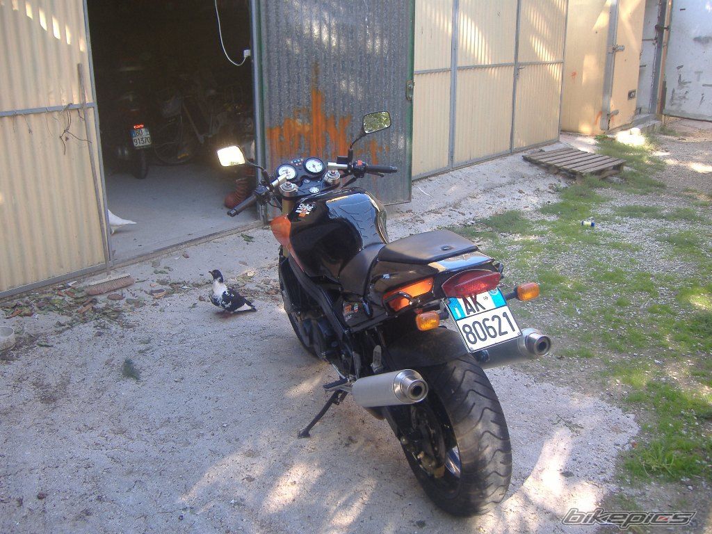 Photo 1019853
