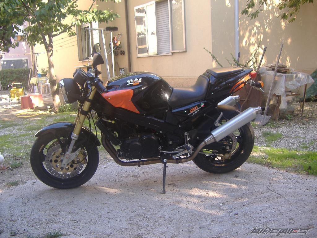 Photo 1019855