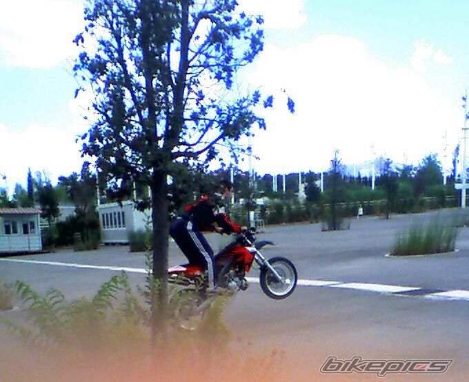 Photo 1019910