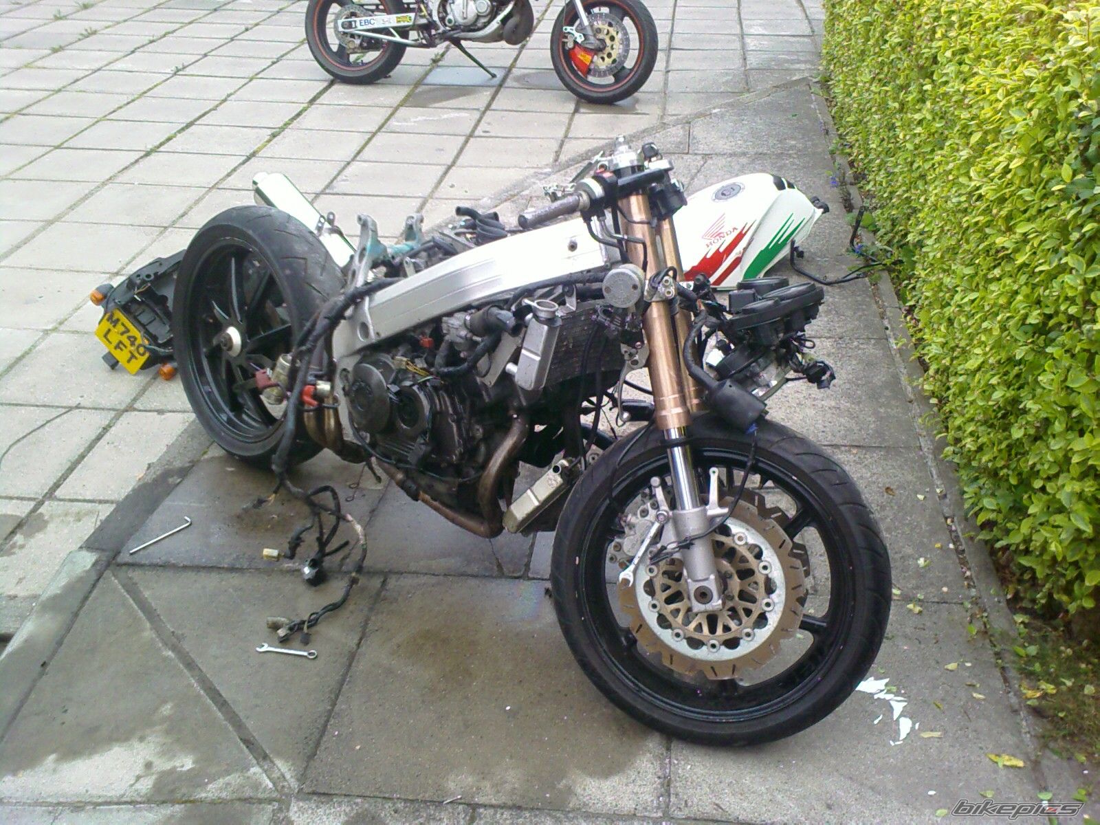 Photo 1020009