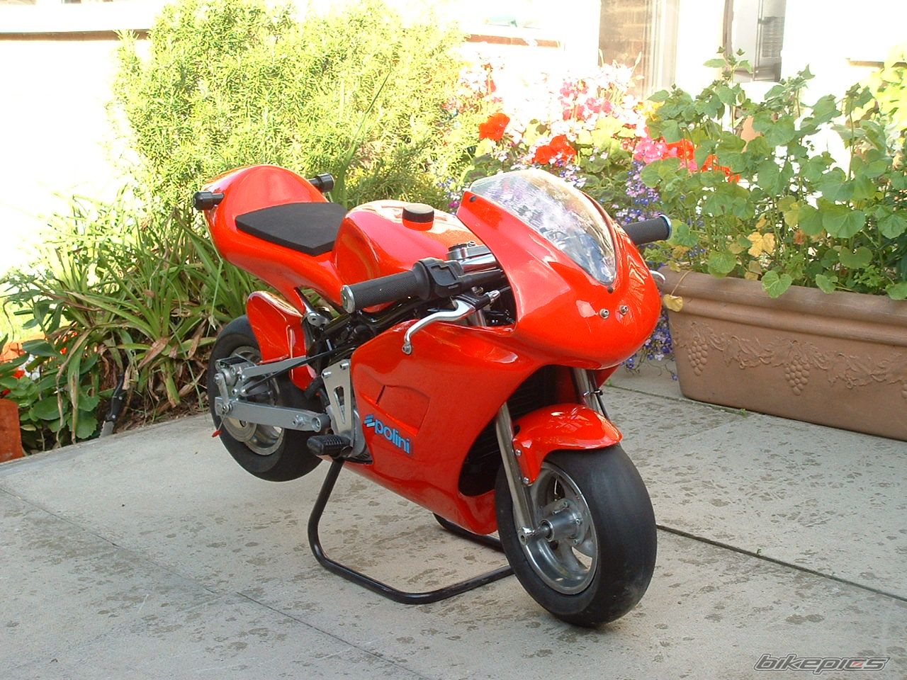 Photo 1020038