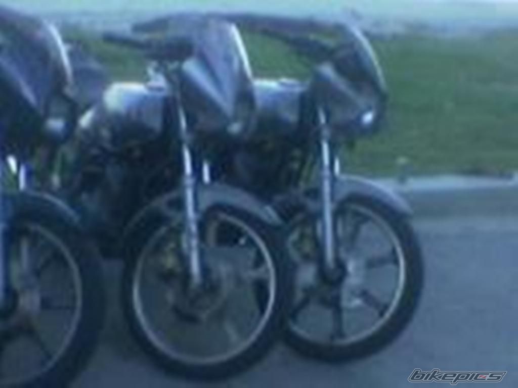 Photo 1020086