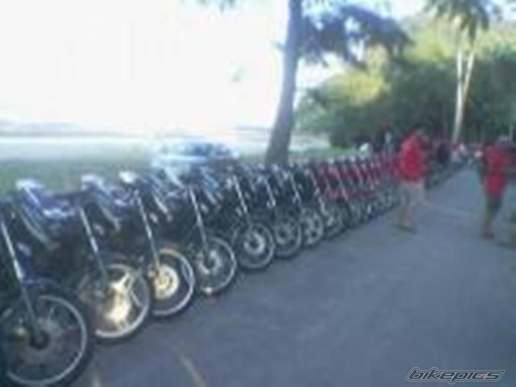 Photo 1020091