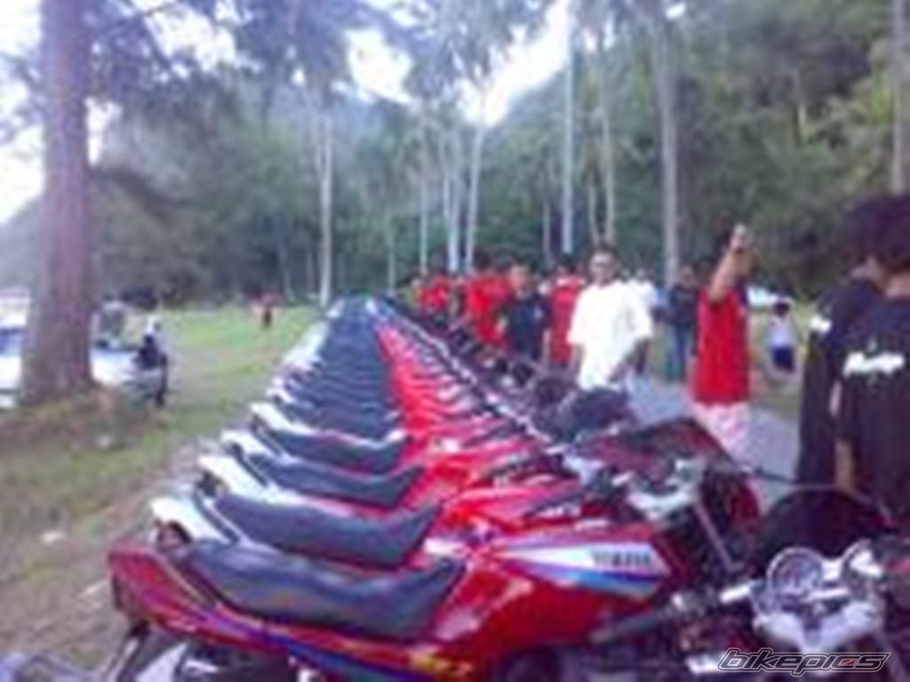 Photo 1020093