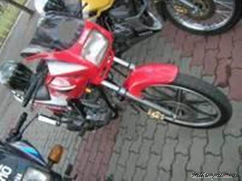 Photo 1020096