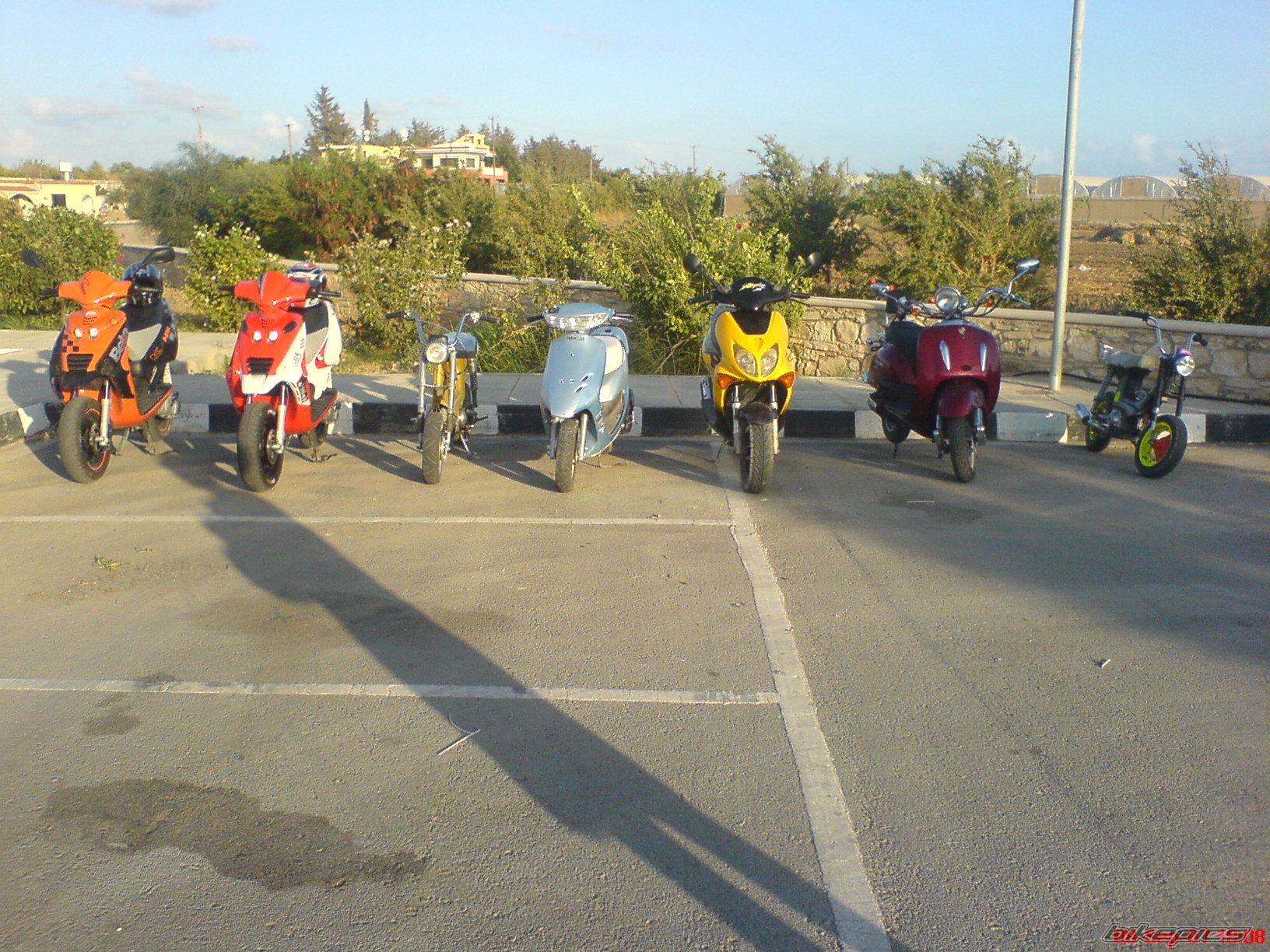 Photo 1020290