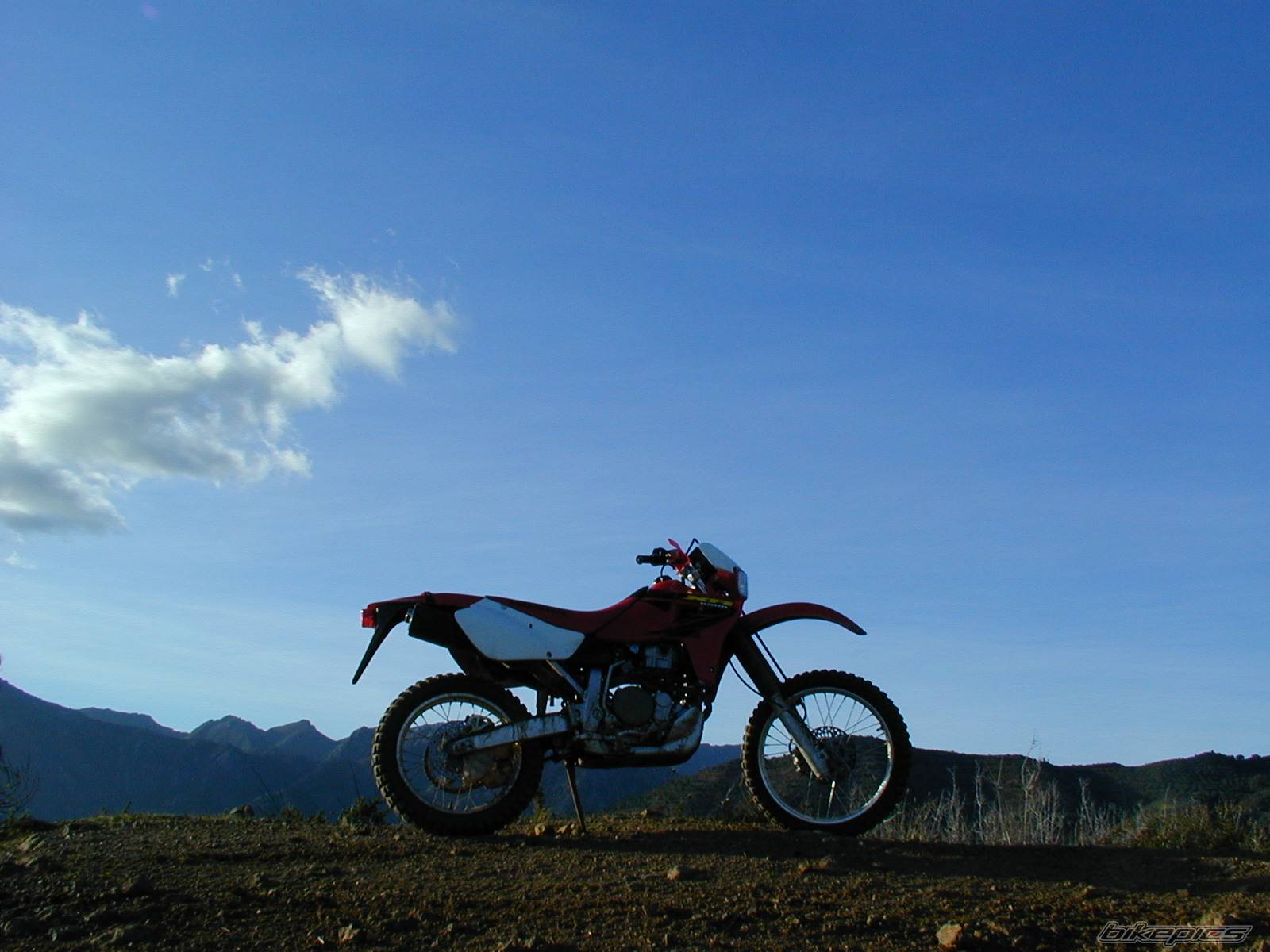 Bike Photo 102037