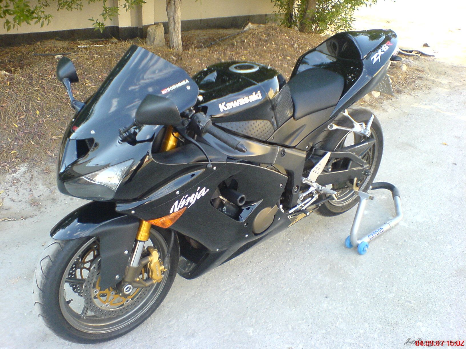 Photo 1020400