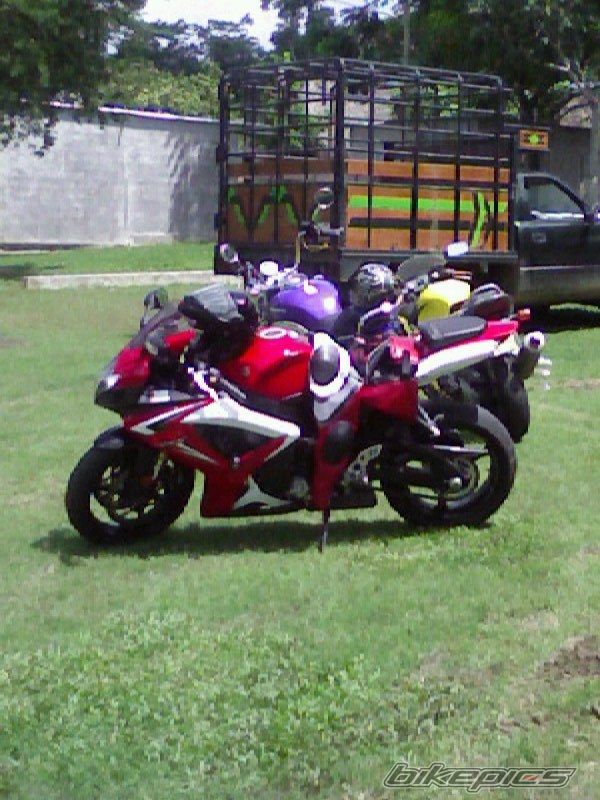 Photo 1020471