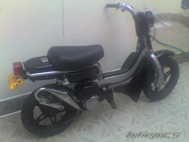 Photo 1020473