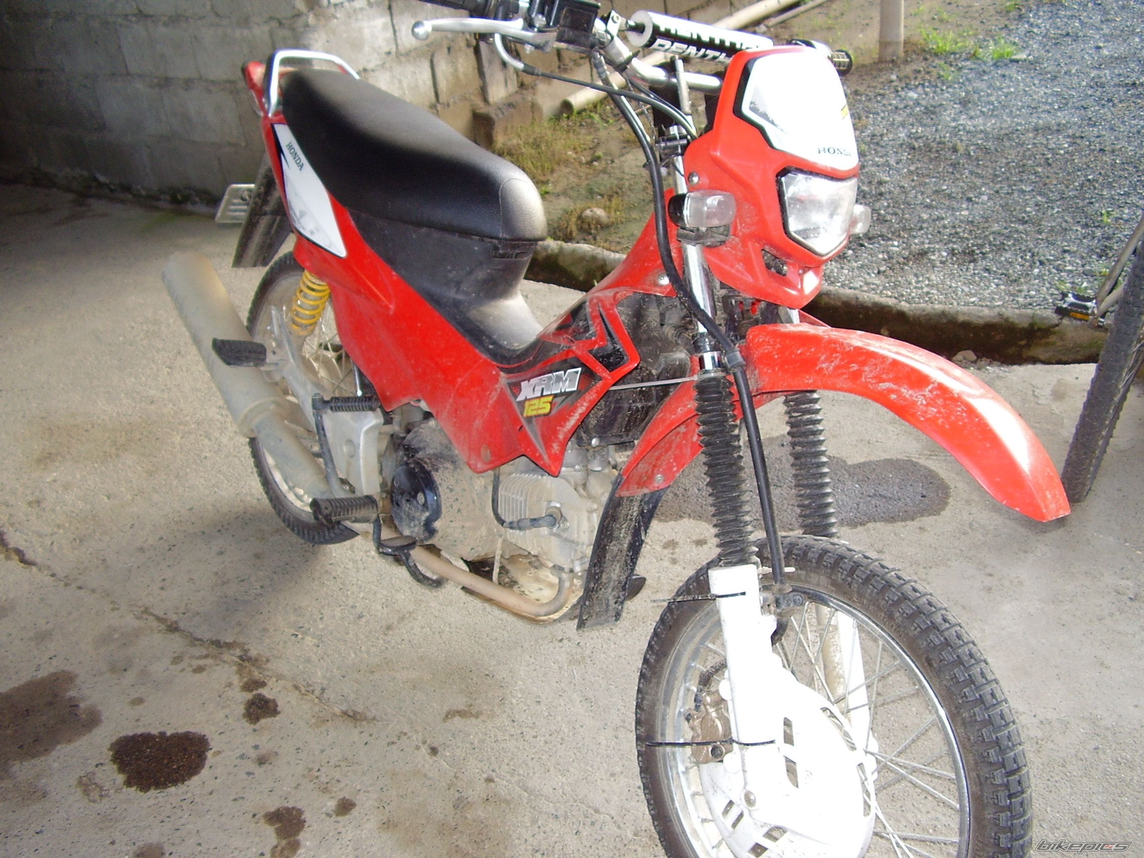 Photo 1020525