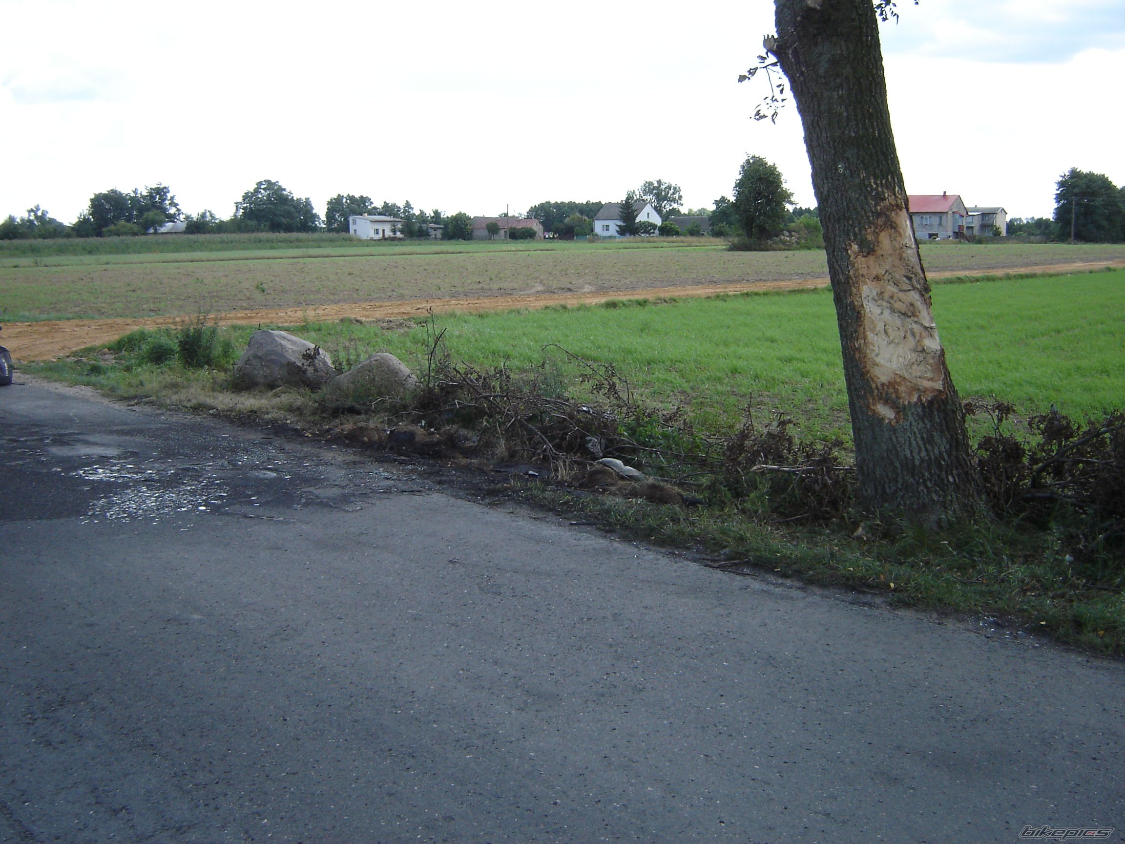 Photo 1020531