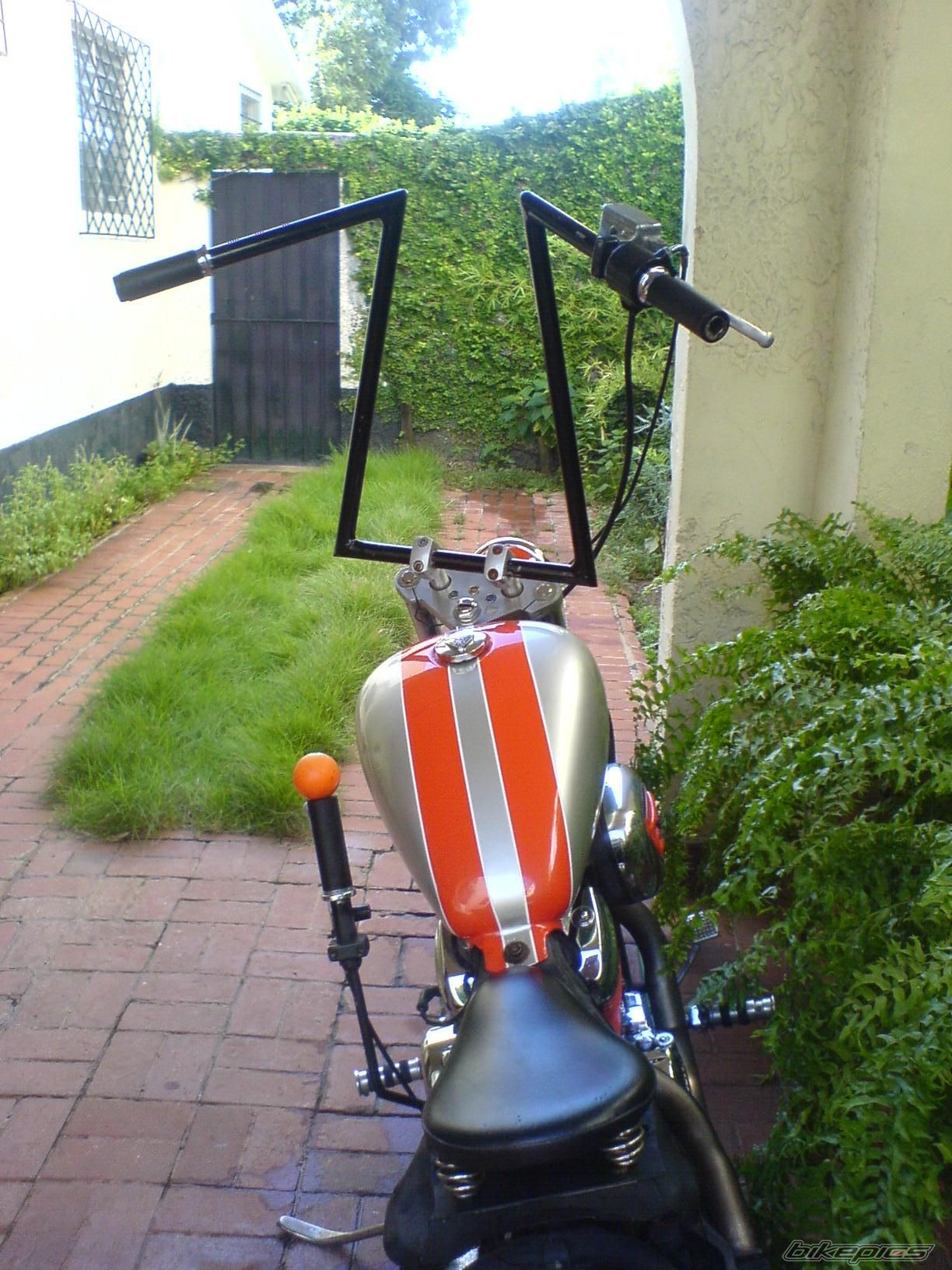 Photo 1020533