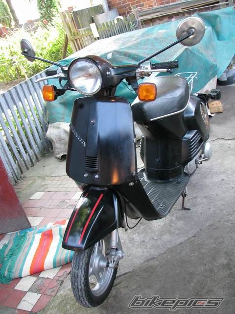 Photo 1020586