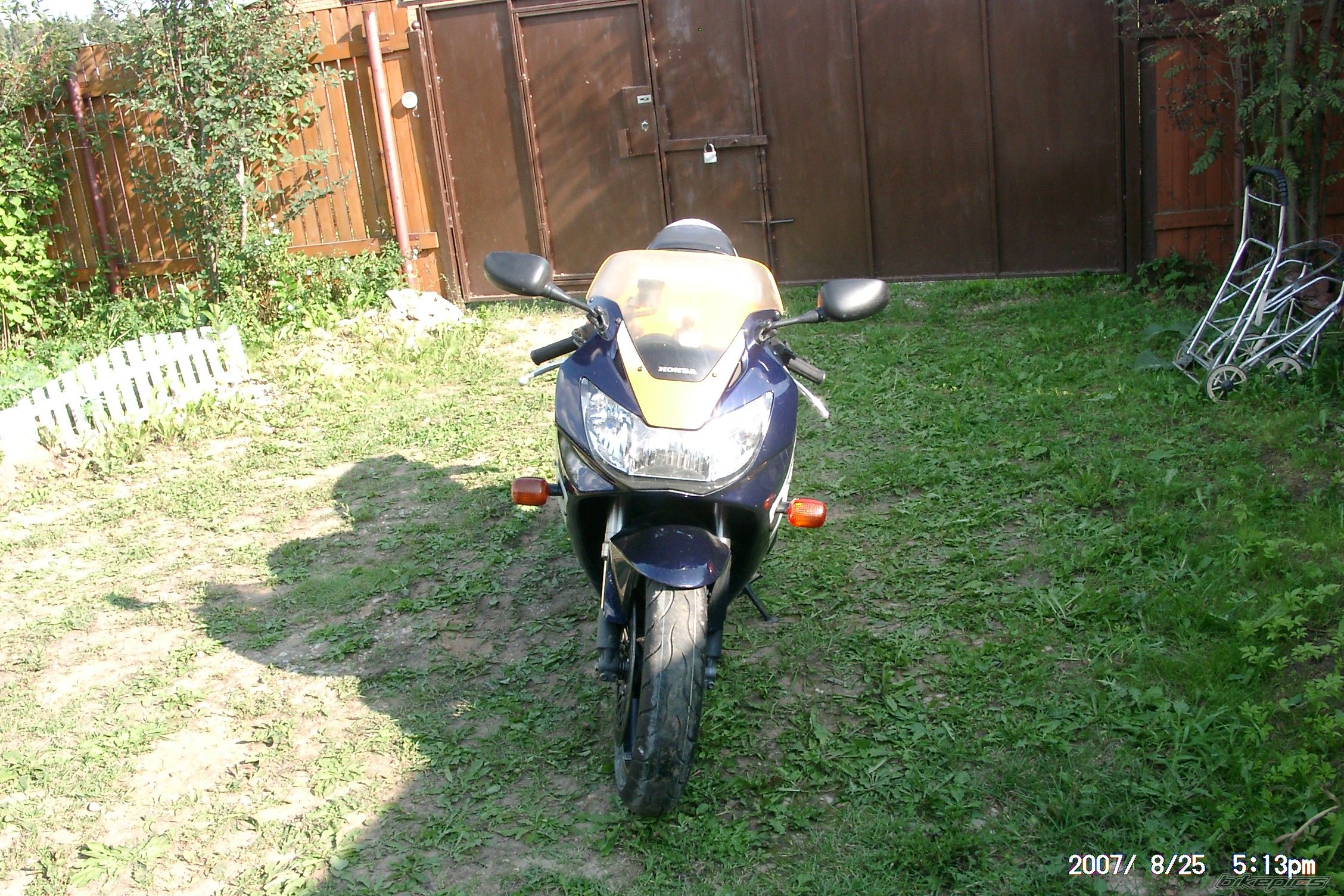 Photo 1020598