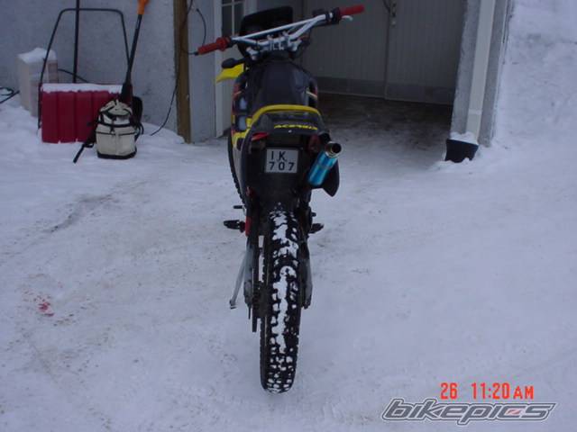 Photo 102061