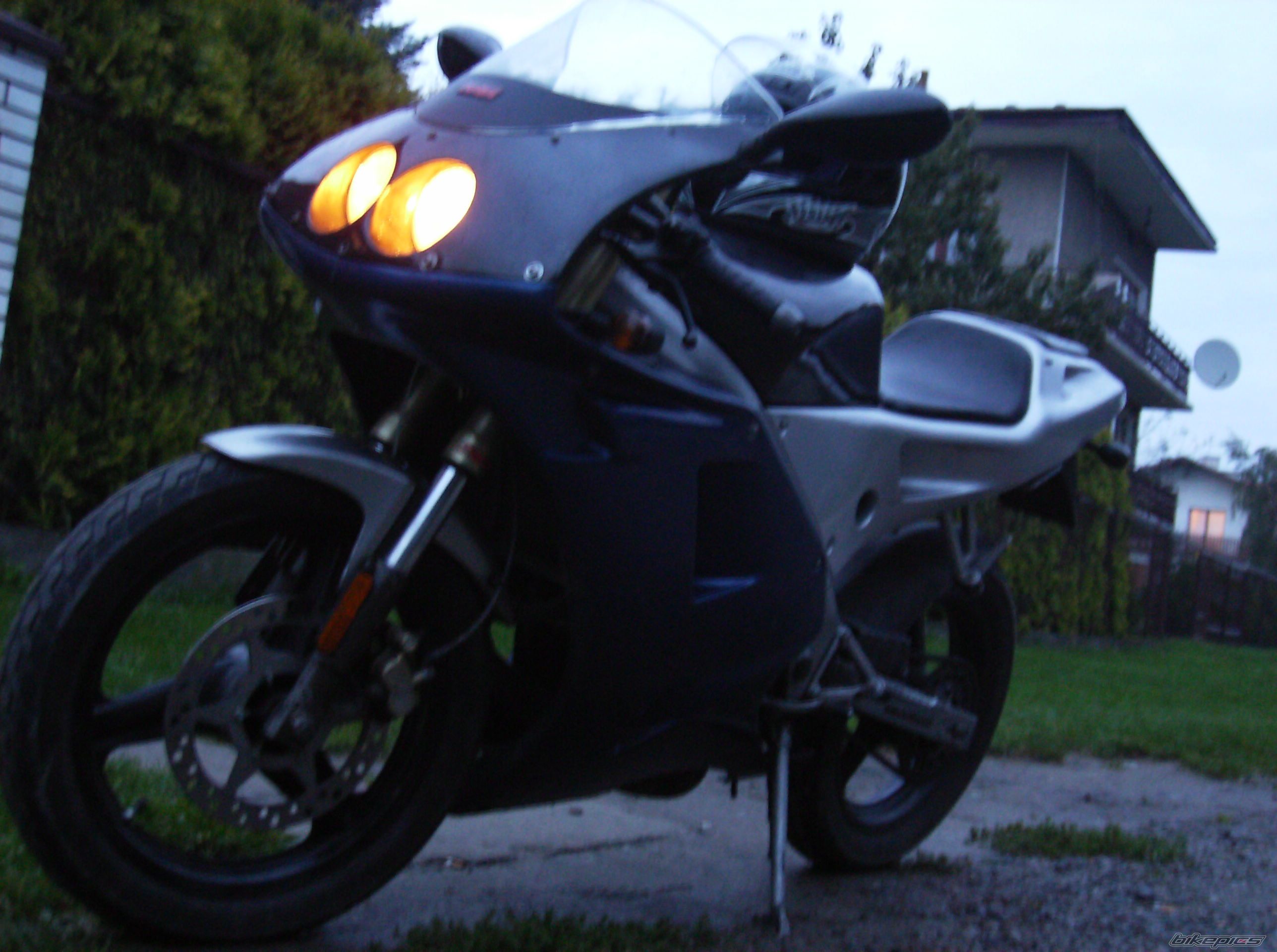 Photo 1020681