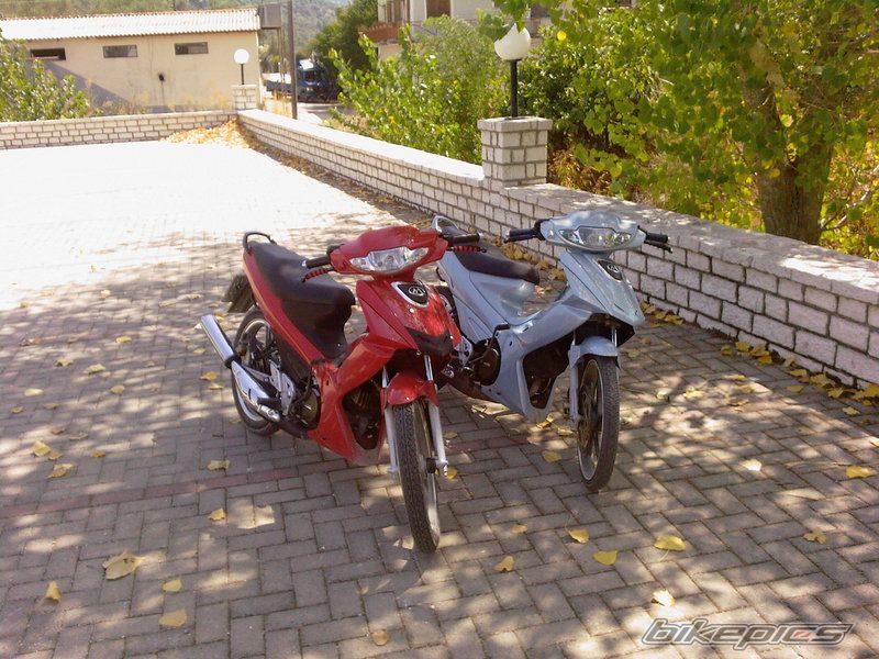Photo 1020707