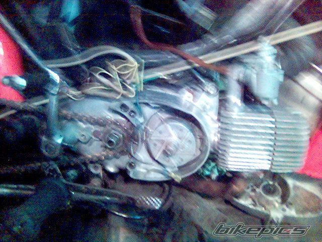 Photo 1020749