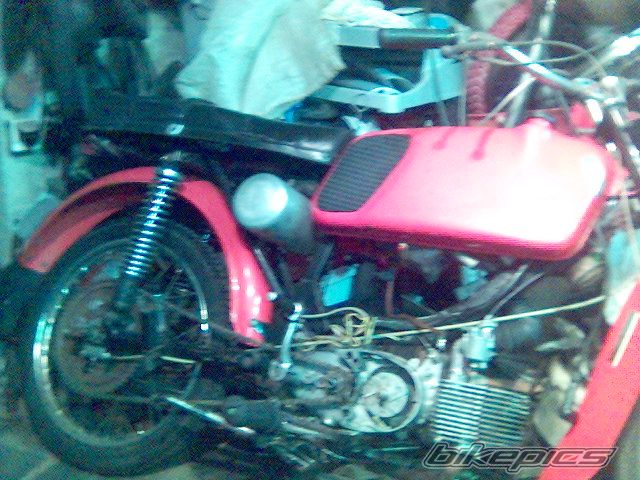 Photo 1020751