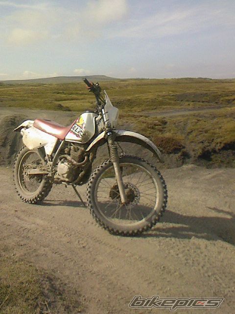 Photo 1020773