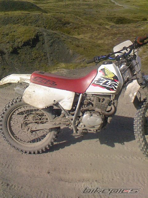 Photo 1020774
