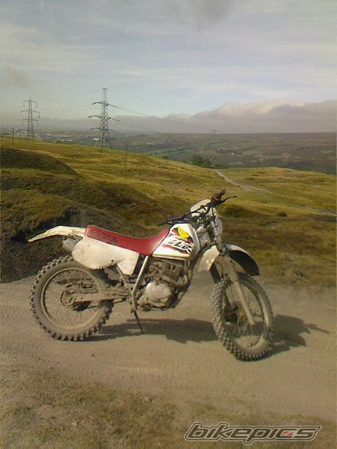 Photo 1020776