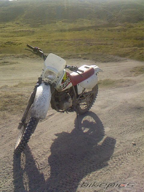 Photo 1020777