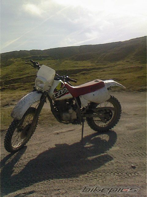 Photo 1020784
