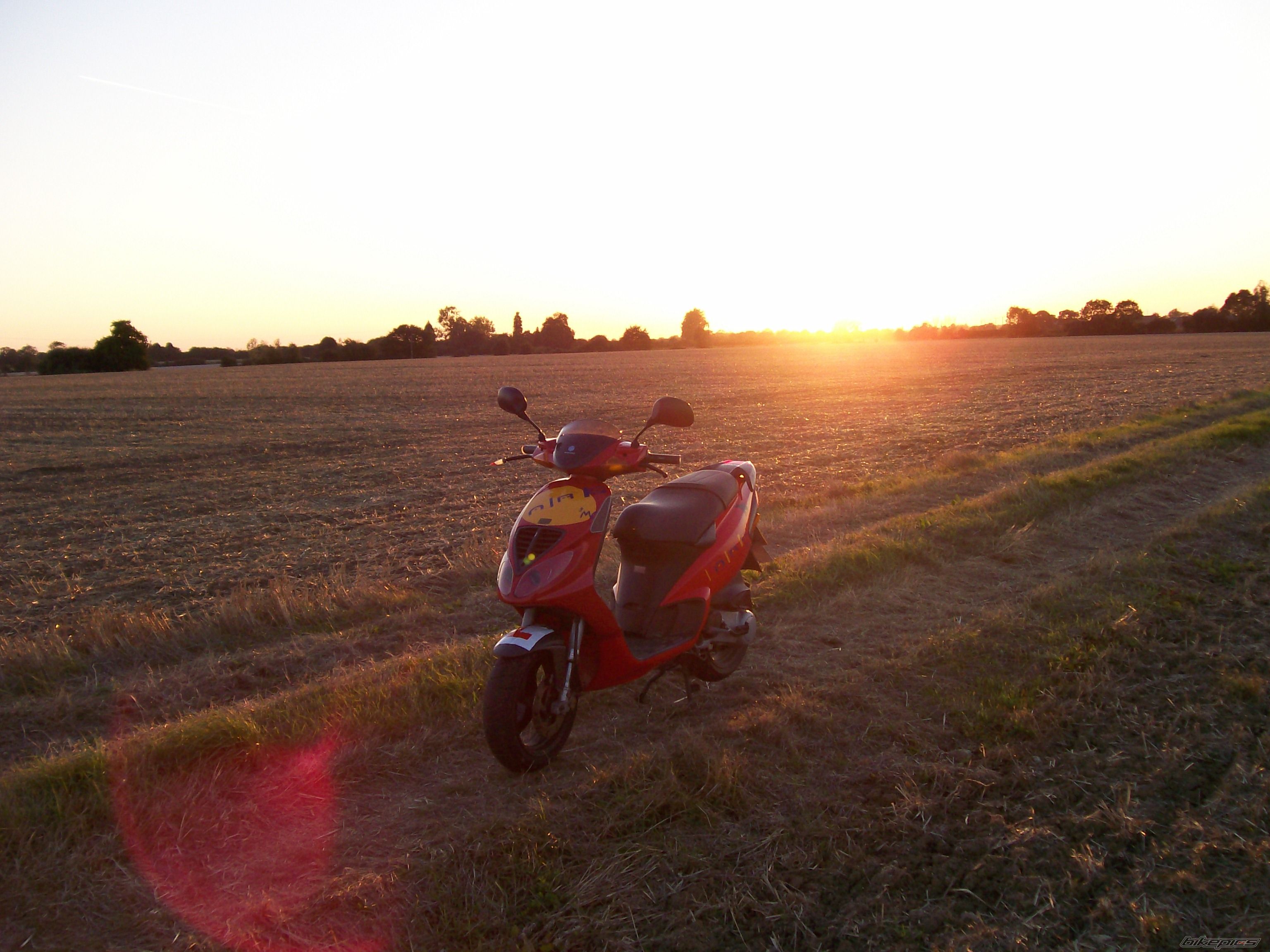 Photo 1020785