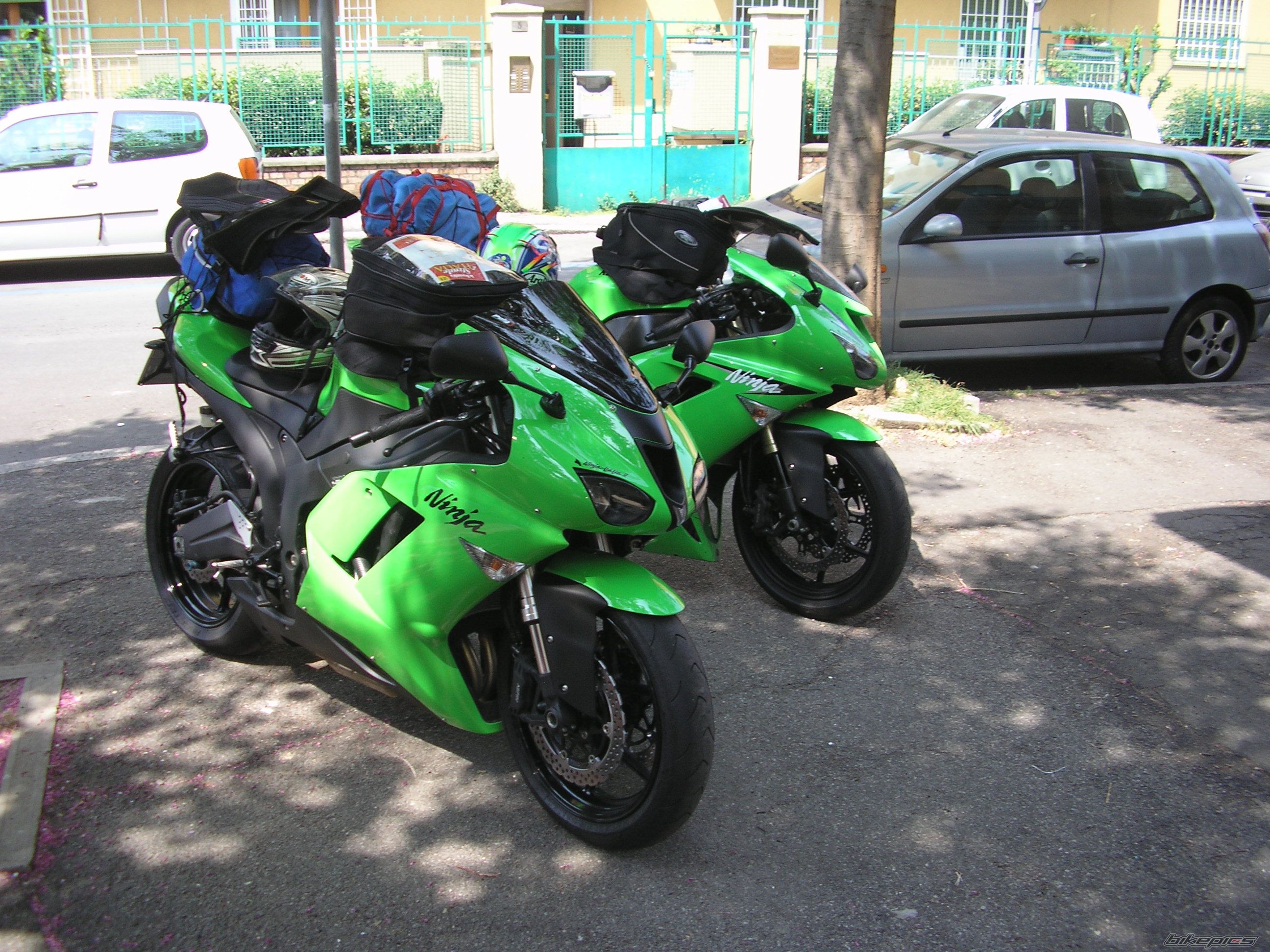 Photo 1020841