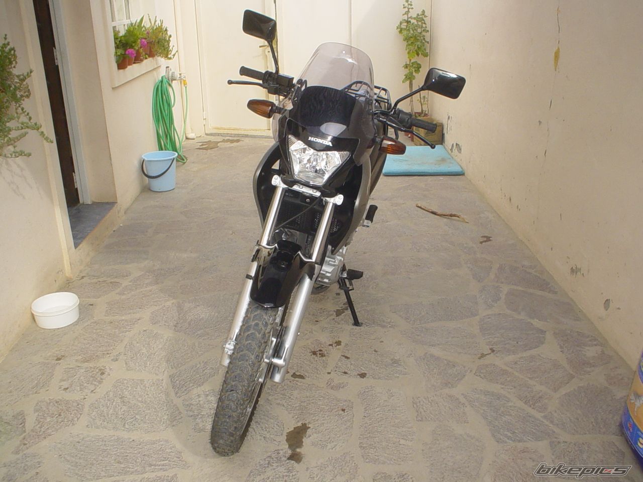Photo 1020864
