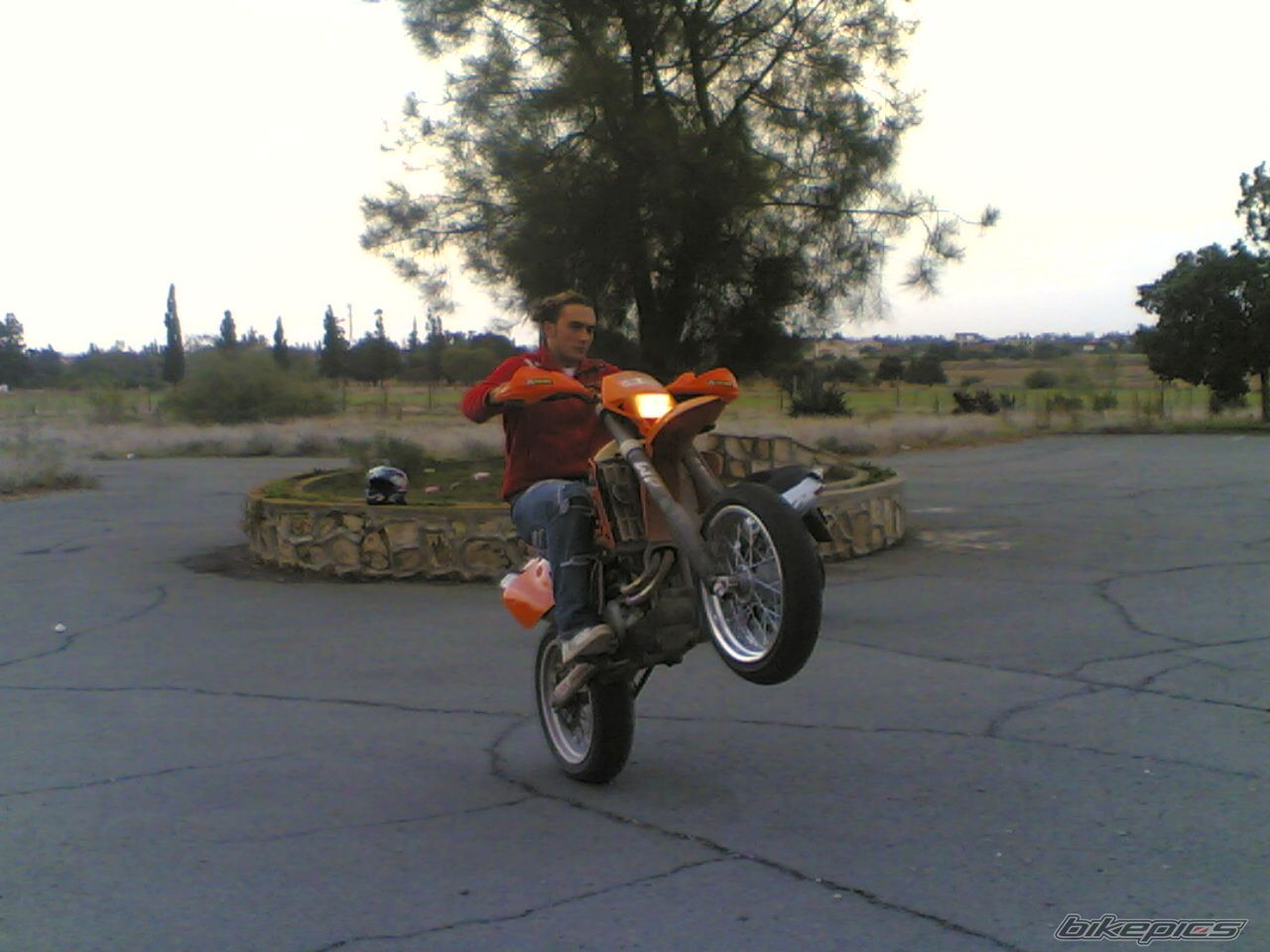 Photo 1020868