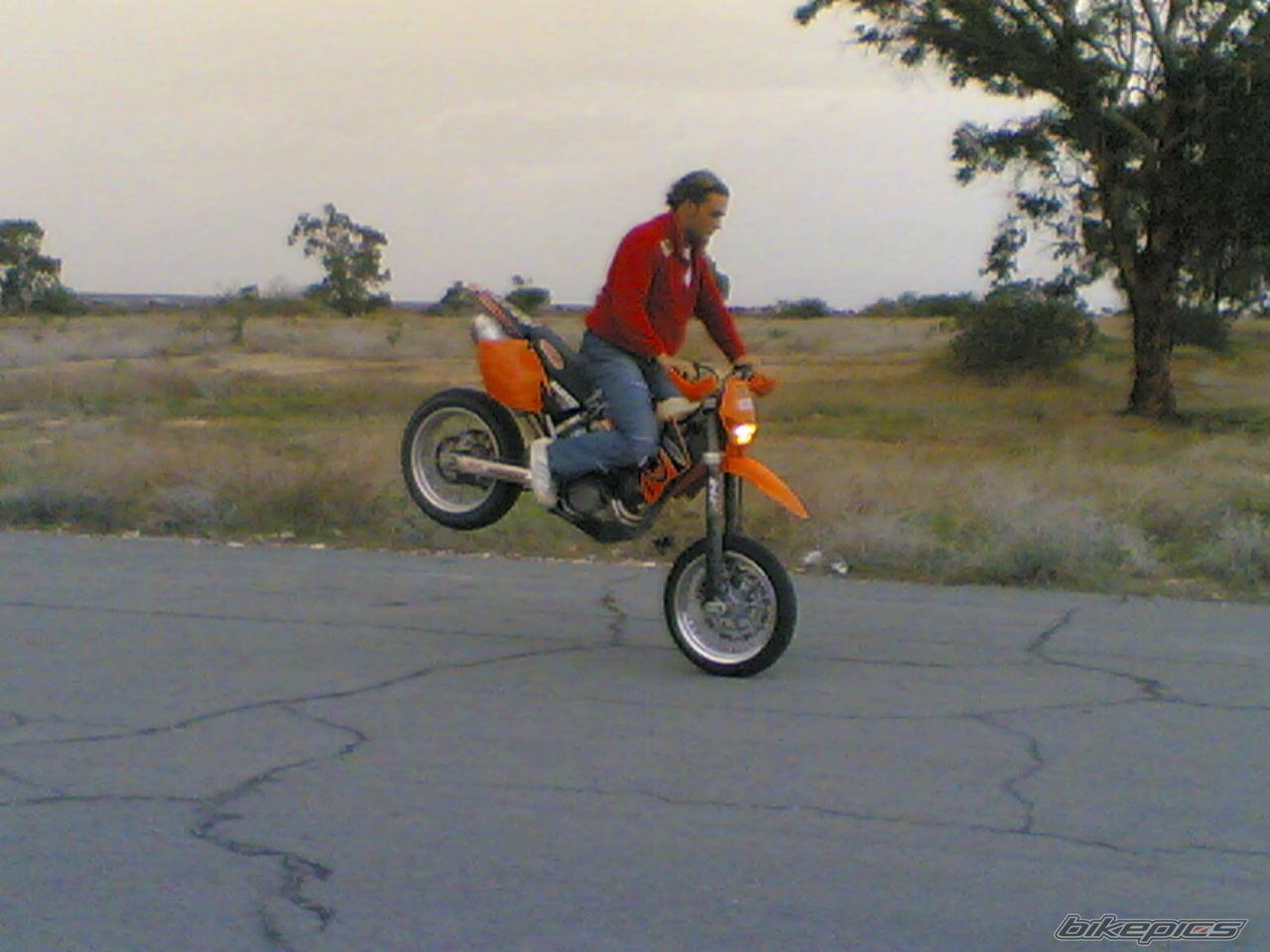 Photo 1020869