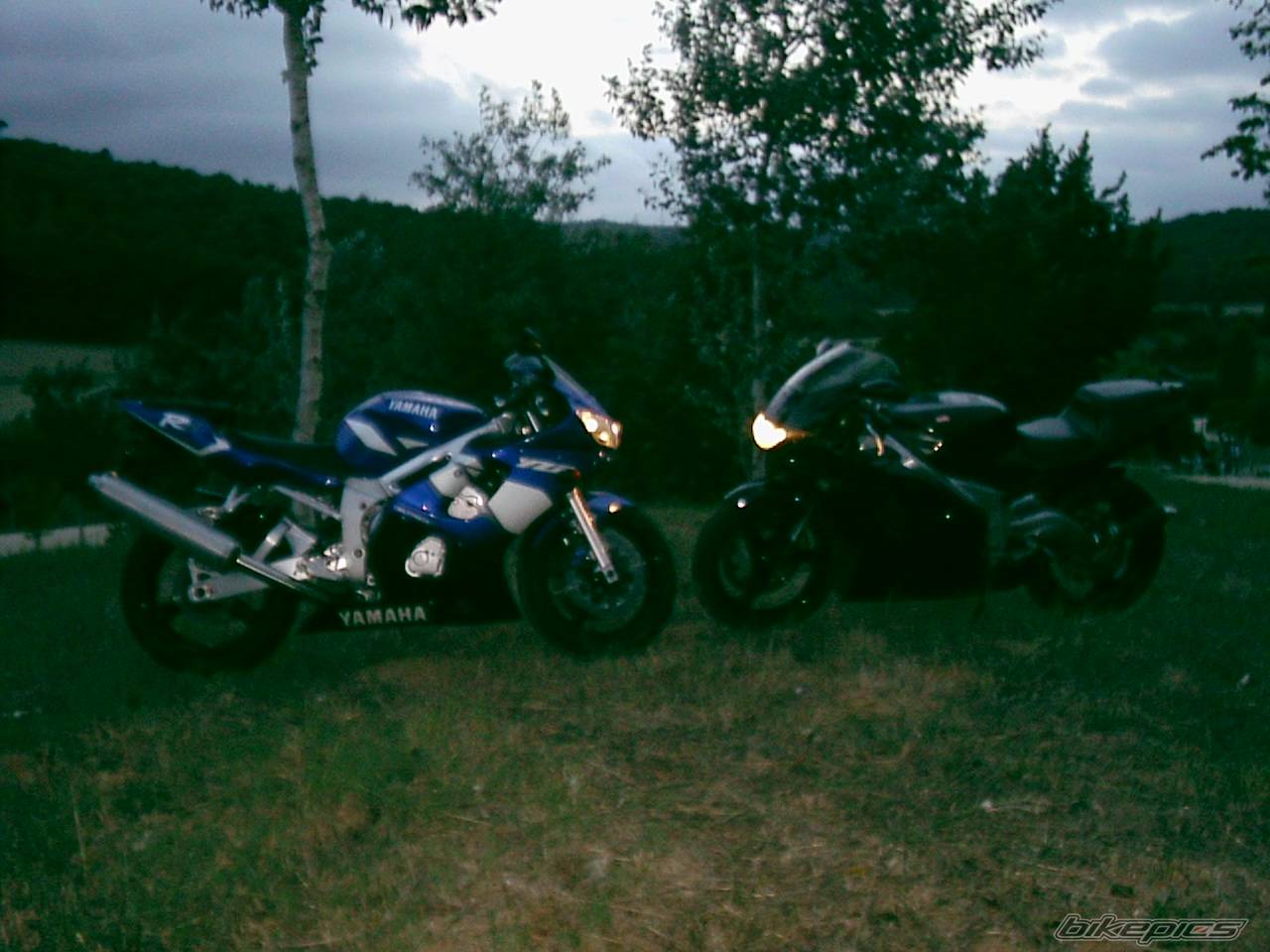 Photo 102089