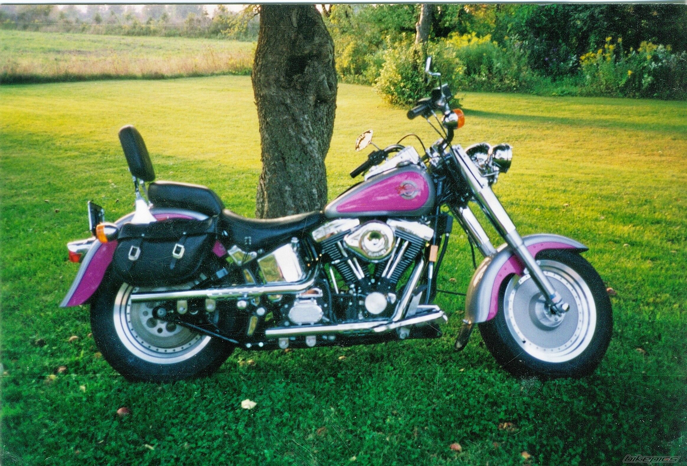 Photo 1020925